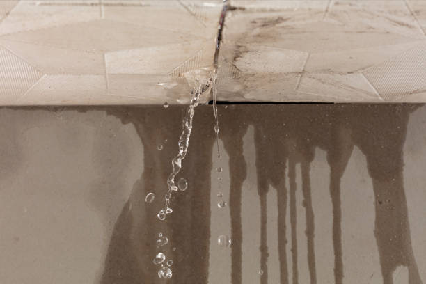 Professional Flood Damage Cleanup technician working in Whately, MA